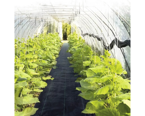 Seră cu plante și material geotextil