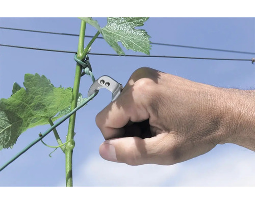 O mână folosește un cuțit de vie pentru a tăia o viță de vie.