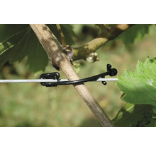 Legătură de viță de vie pentru fixarea plantelor pe un fir