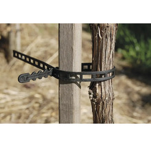 Legătură de plante pentru fixarea unei plante de un stâlp de lemn