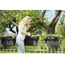 Femeie îngrijind flori în jardiniere pe o balustradă de balcon