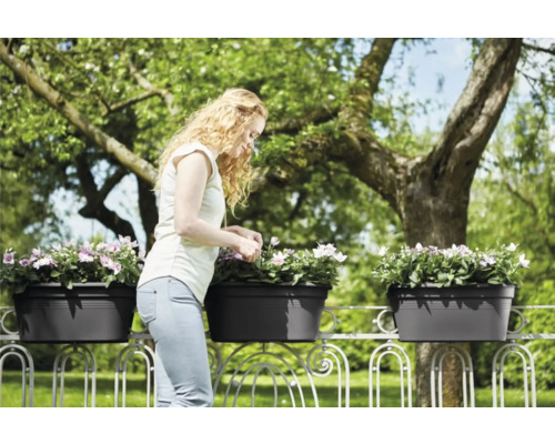 Femeie îngrijind flori în jardiniere pe o balustradă de balcon