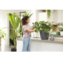 Femeie udând o plantă de interior cu un pulverizator într-o bucătărie luminoasă.