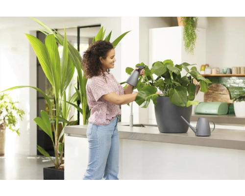 Femeie udând o plantă de interior cu un pulverizator într-o bucătărie luminoasă.