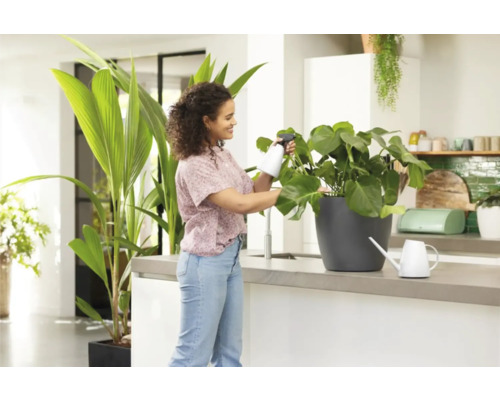 Femeie pulverizând o plantă de apartament cu un pulverizator într-o bucătărie luminoasă