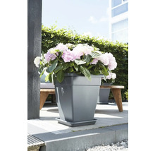 Jardinieră pătrată cu hortensii pe o terasă