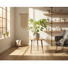 Cameră de zi luminoasă cu plantă de apartament, fotoliu și raft de perete