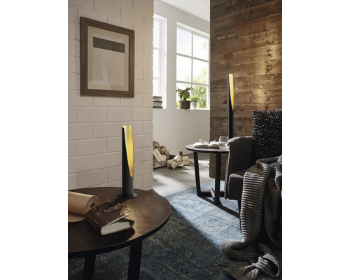 Cameră de zi cu lămpi de masă și lambriuri din lemn