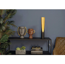 Scenă decorativă cu o lampă de masă, două vaze cu fețe, plante de interior și cărți pe un raft