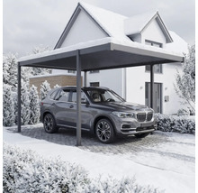 O mașină este parcată sub un carport în fața unei case iarna.