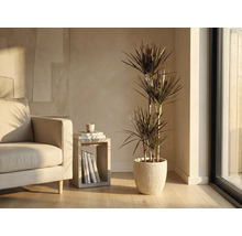 Cameră de zi cu dracaena într-un ghiveci cu nervuri, lângă fotoliu și măsuță laterală