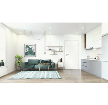 Spațiu de locuit luminos cu canapea, covor, rafturi și chicinetă