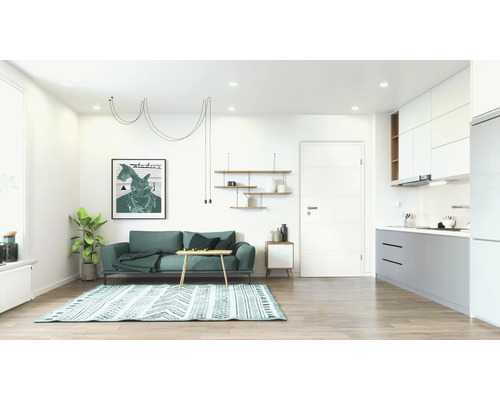 Spațiu de locuit luminos cu canapea, covor, rafturi și chicinetă