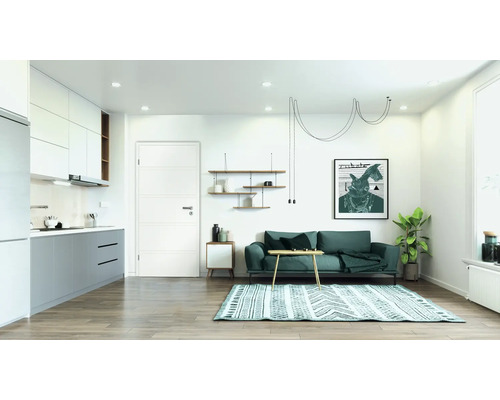 Cameră de zi cu canapea, covor, rafturi și chicinetă într-un design luminos și spațios.