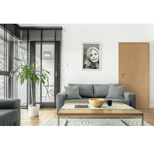 Living cu canapea, masă, plantă de interior și tablou