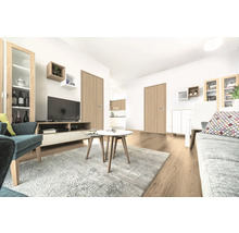 Living luminos cu ușă, televizor, canapea și covor