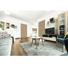 Cameră de zi cu mobilier, covor și uși de interior