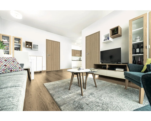 Cameră de zi cu mobilier, covor și uși de interior