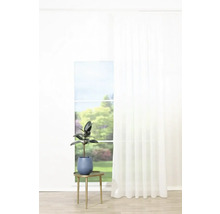 Plantă de interior decorativă în ghiveci pe o măsuță laterală lângă o fereastră cu perdea