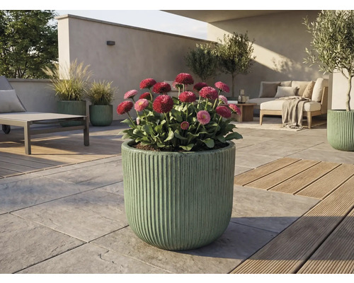 Spațiu exterior cu margarete înflorite în jardinieră canelată