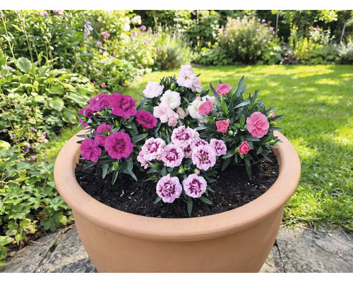Ghiveci flori FloraSelf Valencia ceramică Ø 26,5 cm H 22 | HORNBACH