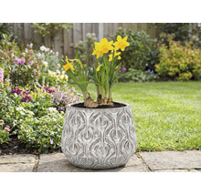 Narcise într-un ghiveci cu model în relief în grădină