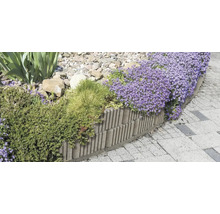 Bordură de grădină din palisade de beton canelate, dispuse în curbă, cu plante înflorite și o alee pavată.