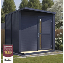 Cabină de grădină modernă cu acoperiș plat și o ușă cu inserție de sticlă.