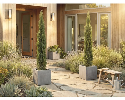 Spațiu de intrare decorativ cu doi chiparoși subțiri în jardiniere pătrate