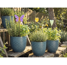 Ghivece de flori cu ierburi aromatice și decorațiuni de grădină pe o scară de grădină