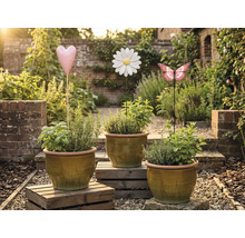 Trei ghivece cu ierburi aromatice și suporturi decorative de grădină în formă de inimă, floare și fluture într-o grădină.