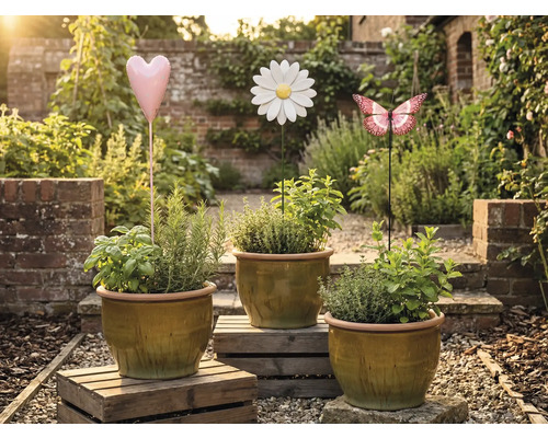 Trei ghivece cu ierburi aromatice și suporturi decorative de grădină în formă de inimă, floare și fluture într-o grădină.