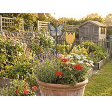 Vedere grădină cu pat de flori, decorațiuni și magazie de grădină