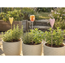 Trei ghivece cu ierburi și tăblițe de grădină în grădină