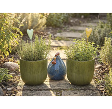 Natură statică de grădină cu ghivece plantate, suporturi de inimă și găină decorativă pe o cărare de piatră