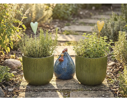 Natură statică de grădină cu ghivece plantate, suporturi de inimă și găină decorativă pe o cărare de piatră