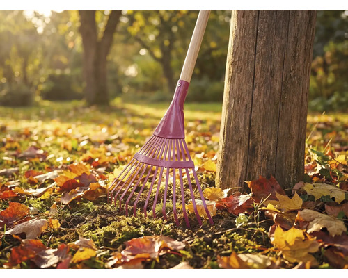 Greblă de grădină din metal cu mâner din lemn lângă trunchiul unui copac în grădină