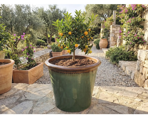 Ghiveci flori FloraSelf ceramică Ø 55 cm H 46,5 cm verde | HORNBACH