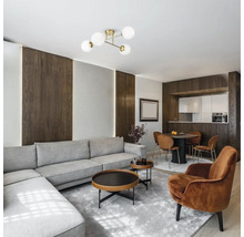 Living cu canapea, fotoliu, măsuță de cafea și plafonieră