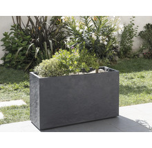 Jardiniere dreptunghiulară cu plante în grădină