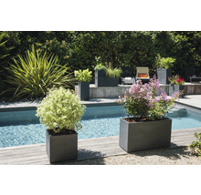 Scenă cu jardiniere dreptunghiulare la piscină și în grădină.