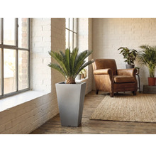 Scenă dintr-un spațiu de locuit cu un ghiveci cilindric, incluzând o plantă, un fotoliu și un covor.