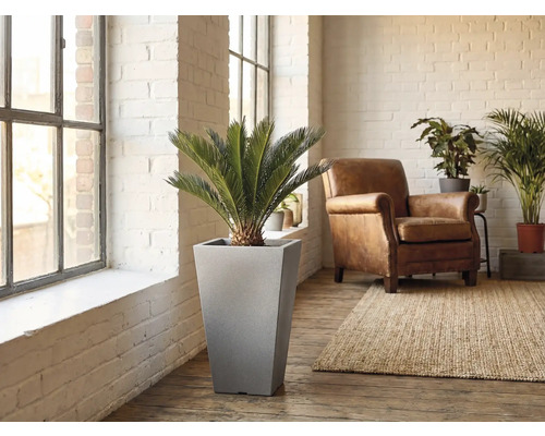 Scenă dintr-un spațiu de locuit cu un ghiveci cilindric, incluzând o plantă, un fotoliu și un covor.