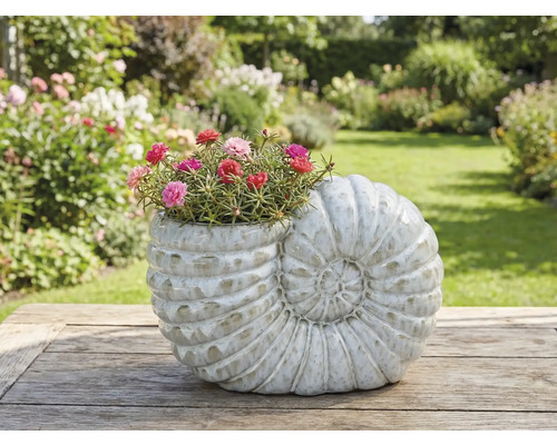 Vază de flori în formă de melc cu flori înflorite pe o masă de lemn în grădină