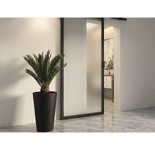 Vedere a camerei cu uşă glisantă, plantă în ghiveci şi vedere la o baie