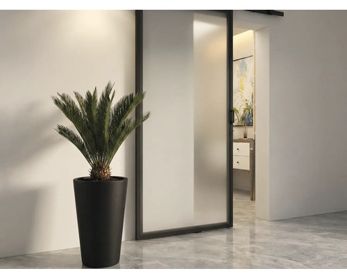 Vedere a camerei cu uşă glisantă, plantă în ghiveci şi vedere la o baie