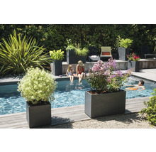 Scenă dintr-o grădină cu jardiniere dreptunghiulare din piatră, piscină, persoane care se bălăcesc și plante