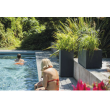 Scenă cu piscină, terasă din lemn și jardiniere plantate.