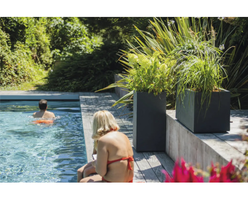 Scenă cu piscină, terasă din lemn și jardiniere plantate.