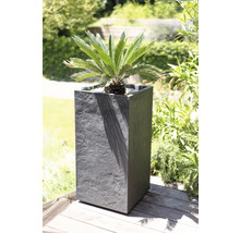 Jardiniere cu planta ornamentală în grădină